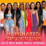 eight housemates listed in the BBMzansi week 3 nominations