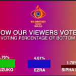 Big brother Mzansi week 4 voting results