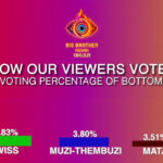 Big Brother Mzansi 2025 Week 7 voting results and percentage